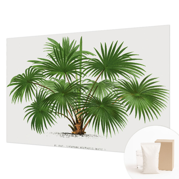 High quality photo wallpaper with an exotic pattern
