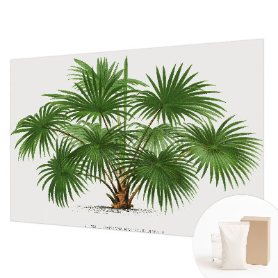 High quality photo wallpaper with an exotic pattern