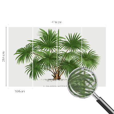 High quality photo wallpaper with an exotic pattern