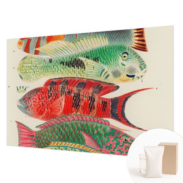 Premium wall mural for bedroom with an exotic fish design