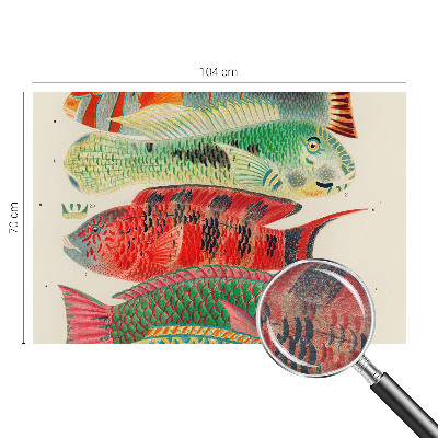 Premium wall mural for bedroom with an exotic fish design