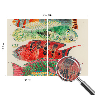 Premium wall mural for bedroom with an exotic fish design