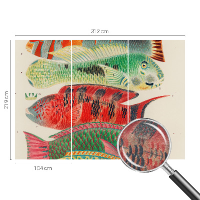 Premium wall mural for bedroom with an exotic fish design