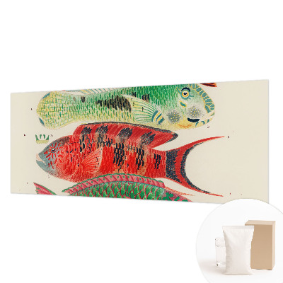 Premium wall mural for bedroom with an exotic fish design