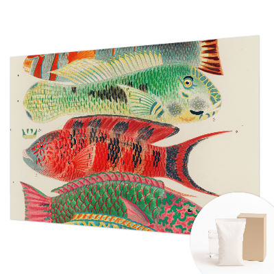 Premium wall mural for bedroom with an exotic fish design