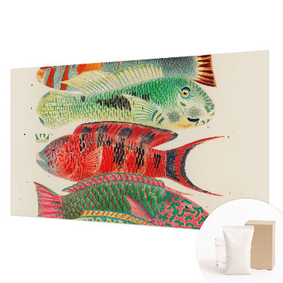 Premium wall mural for bedroom with an exotic fish design