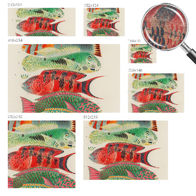 Premium wall mural for bedroom with an exotic fish design