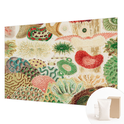 Premium photo wallpaper with an organic shapes design