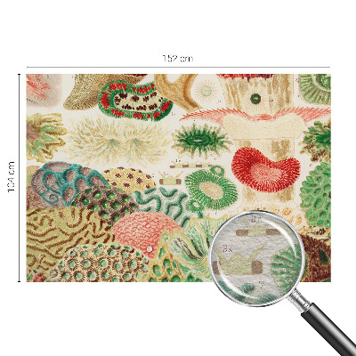 Premium photo wallpaper with an organic shapes design