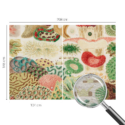 Premium photo wallpaper with an organic shapes design