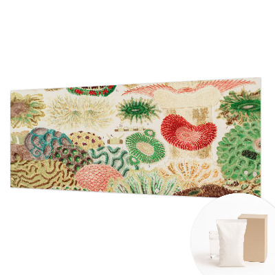 Premium photo wallpaper Organic shapes