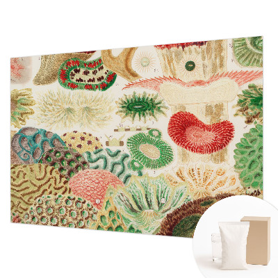 Premium photo wallpaper Organic shapes