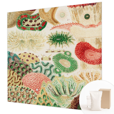 Premium photo wallpaper with an organic shapes design