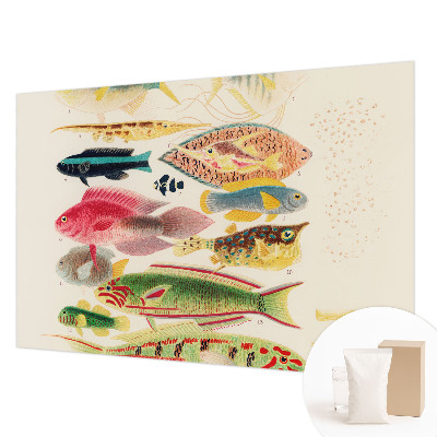 Decorative wall mural for living room with a colorful fish design
