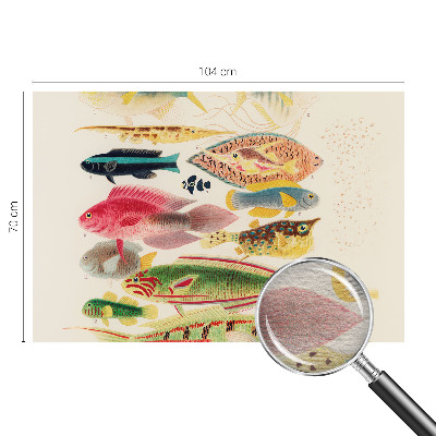 Decorative wall mural for living room with a colorful fish design