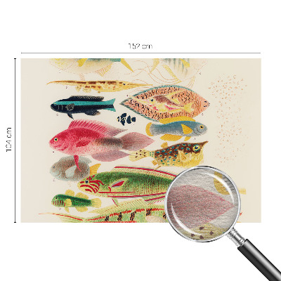 Decorative wall mural for living room with a colorful fish design