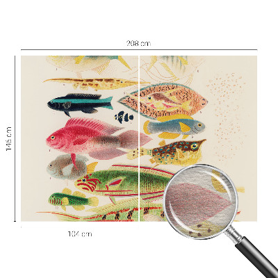 Decorative wall mural for living room with a colorful fish design