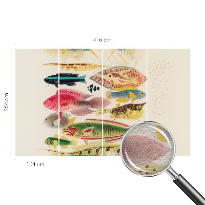 Decorative wall mural for living room Colorful fish