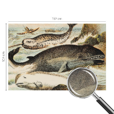 Custom size wall mural featuring sea giants