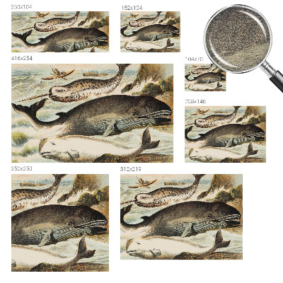 Custom size wall mural Sea giants