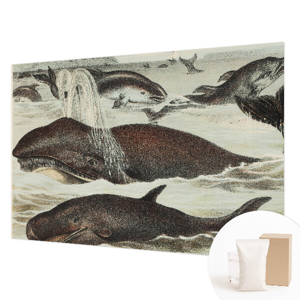 Modern wall mural with sea creature illustrations
