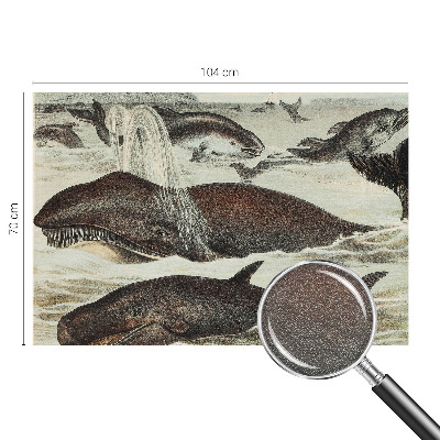 Modern wall mural Sea creatures