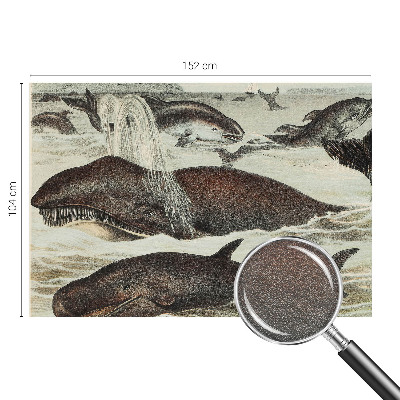 Modern wall mural with sea creature illustrations