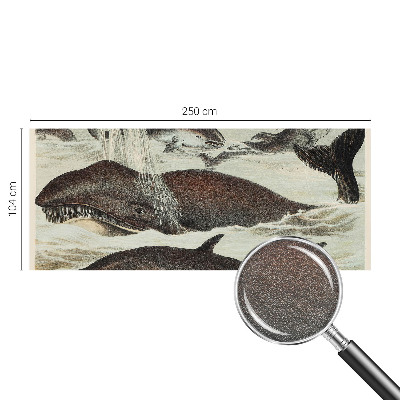 Modern wall mural Sea creatures