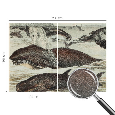 Modern wall mural with sea creature illustrations
