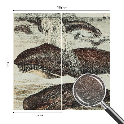 Modern wall mural with sea creature illustrations