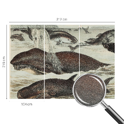 Modern wall mural with sea creature illustrations