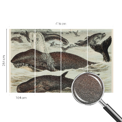 Modern wall mural with sea creature illustrations
