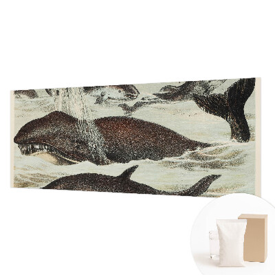 Modern wall mural with sea creature illustrations