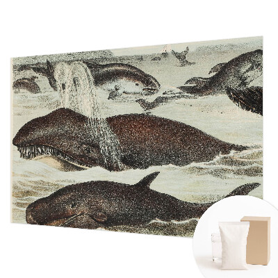 Modern wall mural with sea creature illustrations