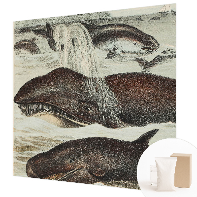 Modern wall mural with sea creature illustrations