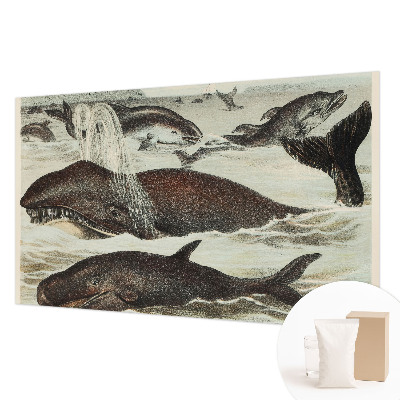 Modern wall mural Sea creatures