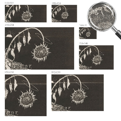 High quality photo wallpaper Nostalgic sunflower