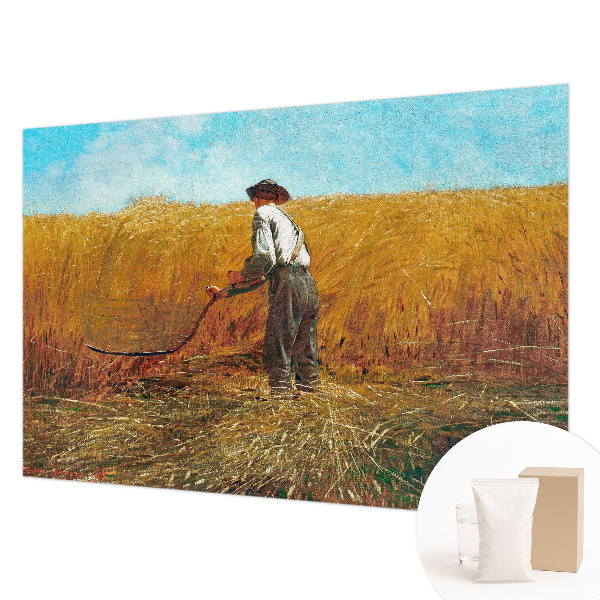 Premium photo wallpaper with a harvest scene bathed in sunlight