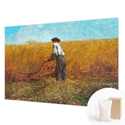 Premium photo wallpaper with a harvest scene bathed in sunlight