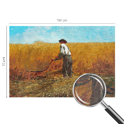 Premium photo wallpaper with a harvest scene bathed in sunlight