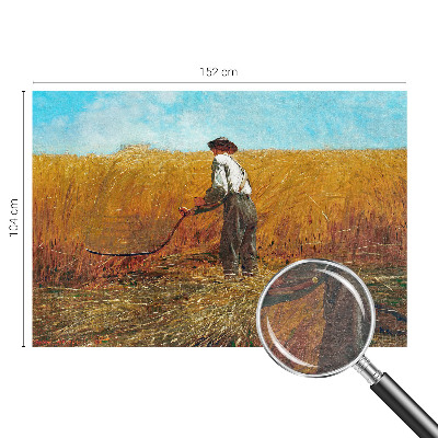 Premium photo wallpaper with a harvest scene bathed in sunlight
