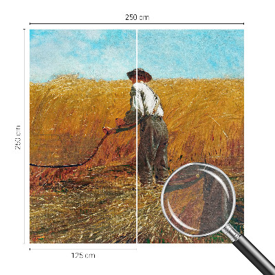 Premium photo wallpaper with a harvest scene bathed in sunlight