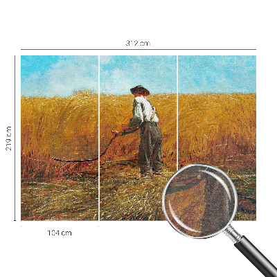 Premium photo wallpaper with a harvest scene bathed in sunlight