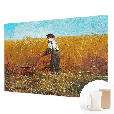 Premium photo wallpaper with a harvest scene bathed in sunlight