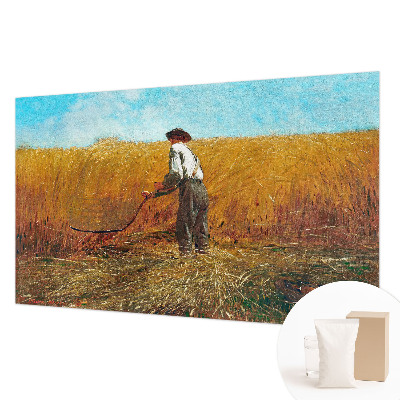 Premium photo wallpaper with a harvest scene bathed in sunlight