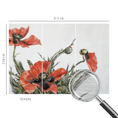 Photo wall mural Red poppies