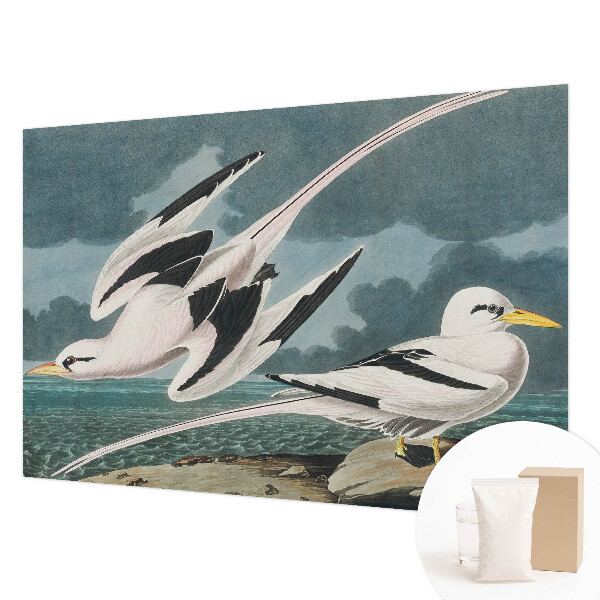 Large wallpaper mural with a birds-by-the-sea motif