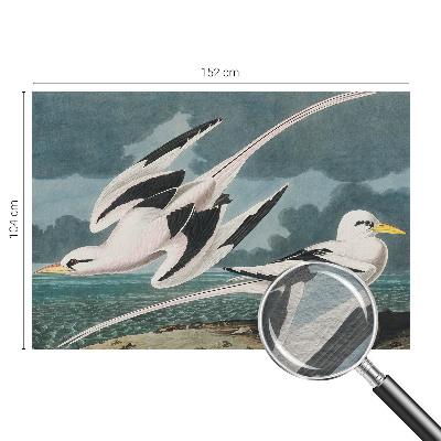 Large wallpaper mural with a birds-by-the-sea motif
