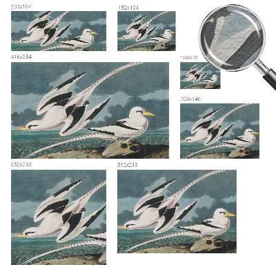 Large wallpaper mural with a birds-by-the-sea motif
