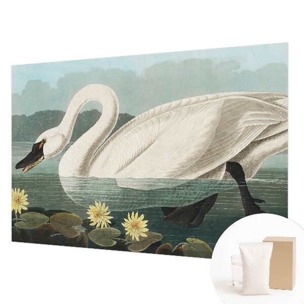 Modern wall mural with a swan and water lilies